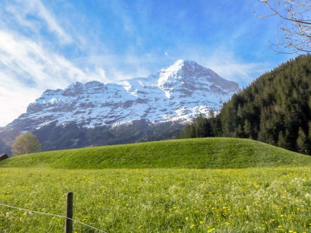 Apartment Chalet Marie Rosa-1 By Interhome Grindelwald Bagian luar foto